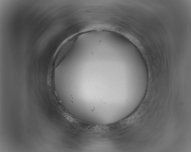 X0000073700912200608241414