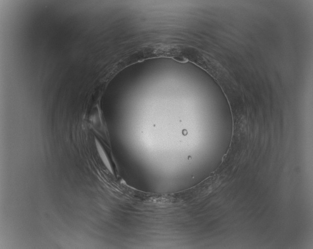 X0000073700914200608241413