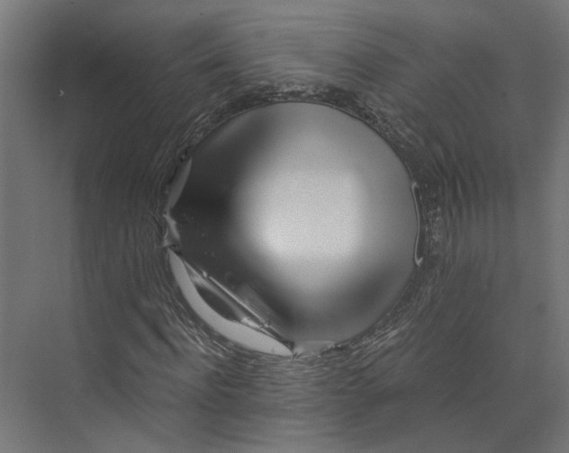 X0000073700916200608241413