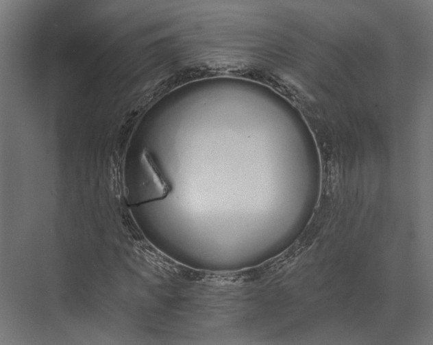 X0000073700917200608241413