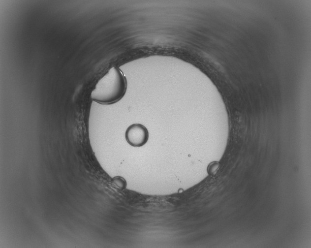 X0000073700918200608241413