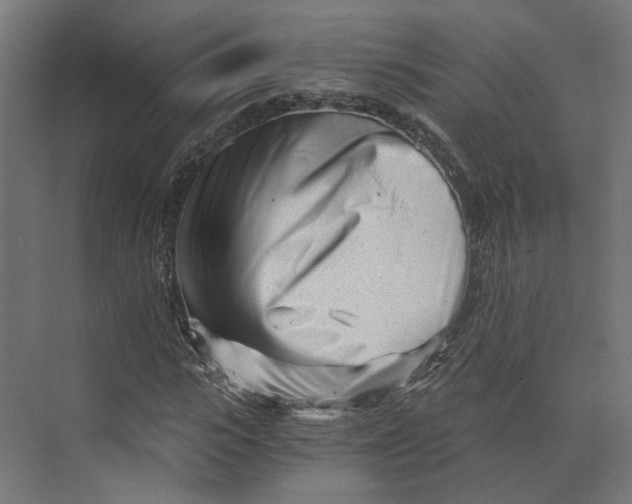 X0000073700919200608241413