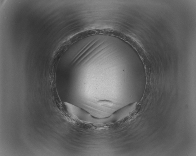 X0000073700920200608241413