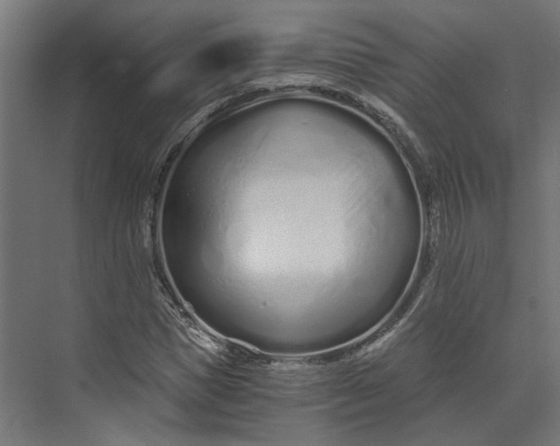 X0000073700921200608241413