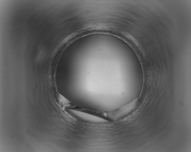 X0000073700922200608241413