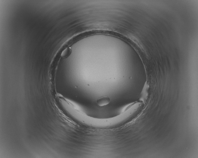 X0000073700926200608241413