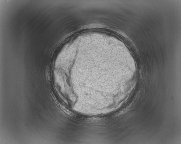 X0000073700929200608241413