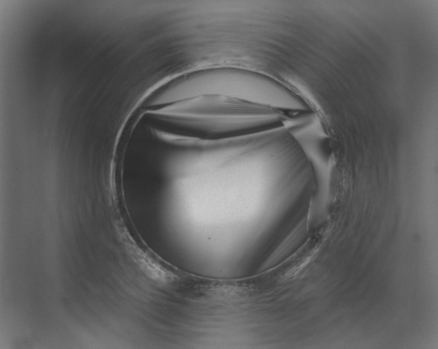 X0000073700932200608241413