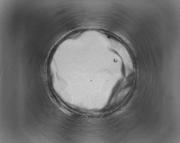 X0000073700933200608241413