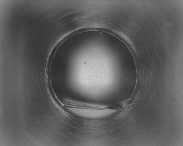 X0000073700935200608241413