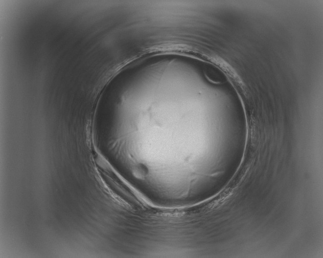 X0000073700937200608241413