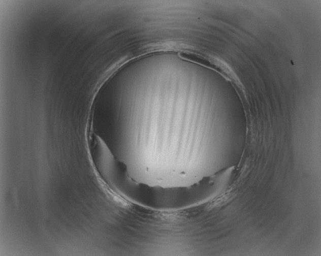 X0000073700946200608241413