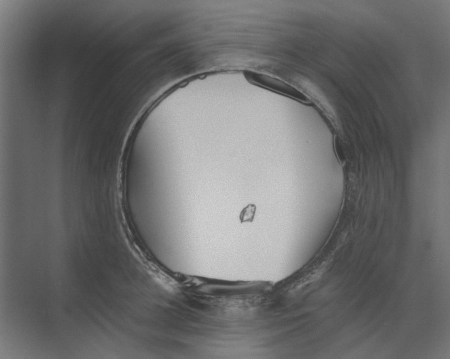 X0000073700948200608241413