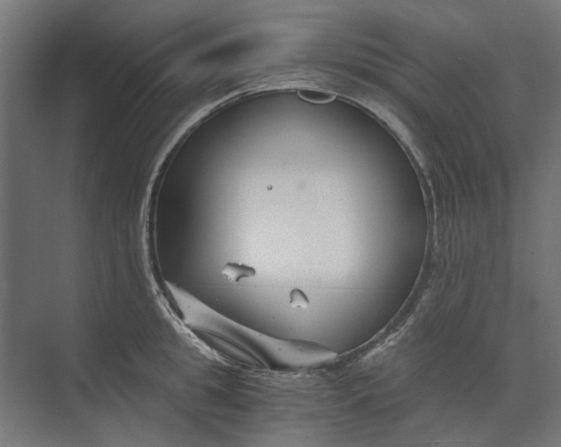 X0000073700949200608241413