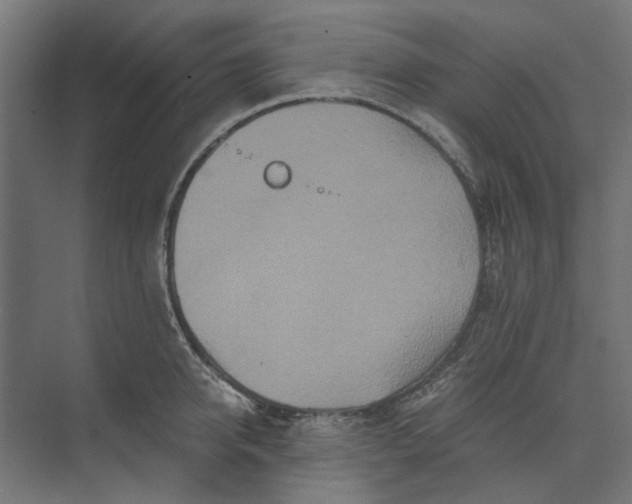 X0000073700950200608241413