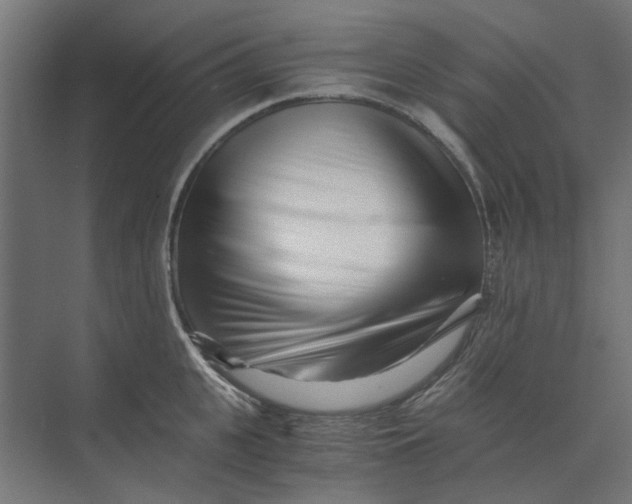 X0000073700951200608241414