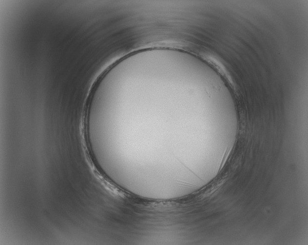 X0000073700952200608241414