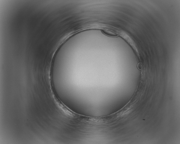 X0000073700954200608241414