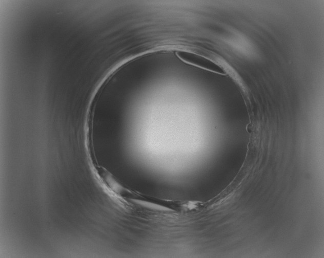 X0000073700955200608241414