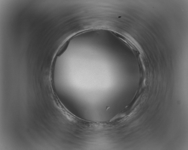 X0000073700956200608241414