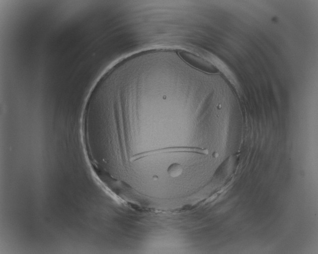 X0000073700958200608241414