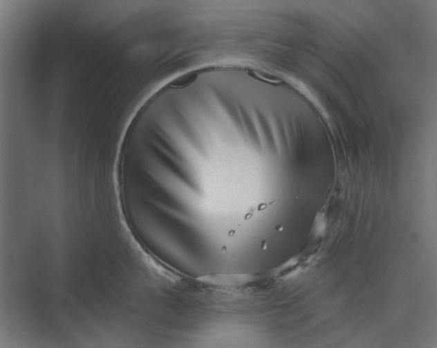 X0000073700959200608241414