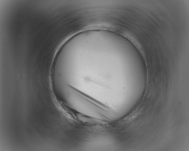 X0000073700960200608241414