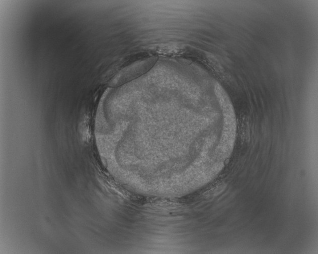 X0000073700962200608241413