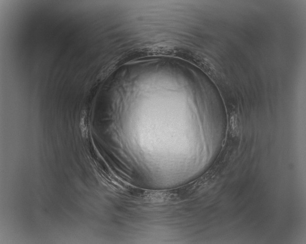 X0000073700963200608241413