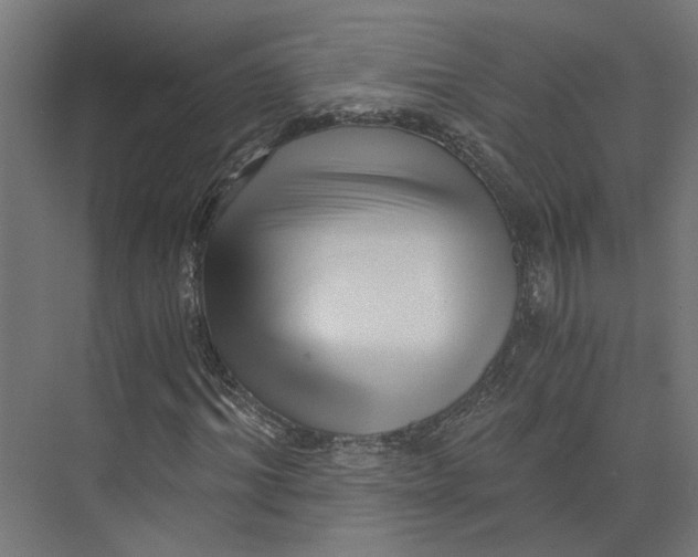 X0000073700964200608241413