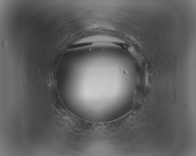 X0000073700965200608241413