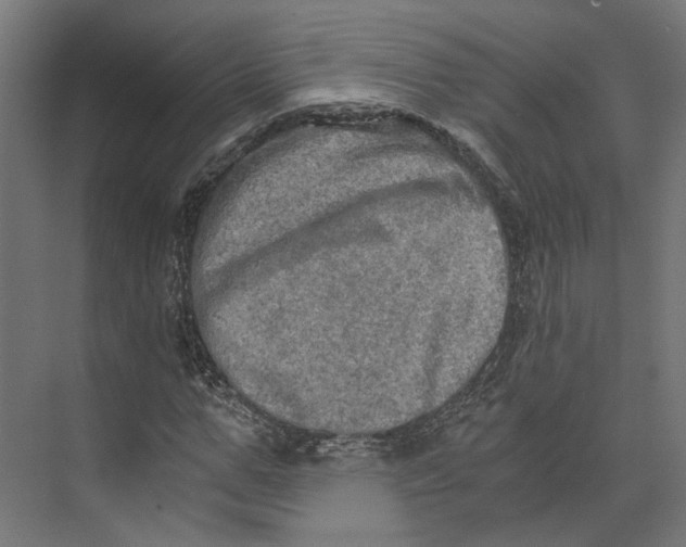 X0000073700967200608241413