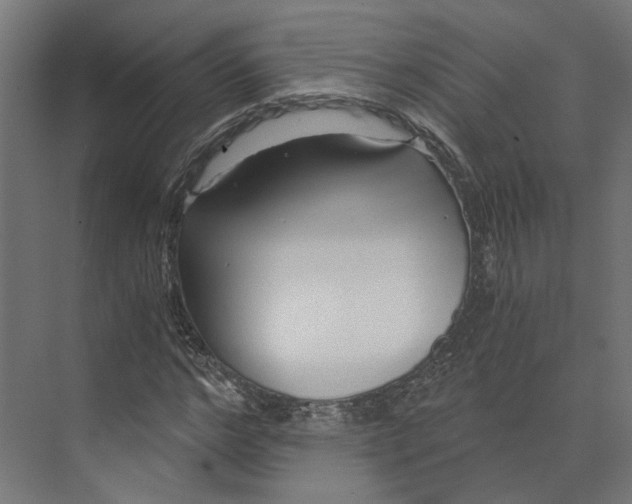 X0000073700968200608241413