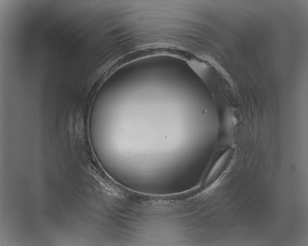 X0000073700969200608241413