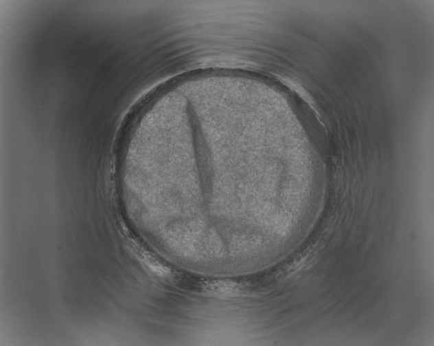 X0000073700971200608241413