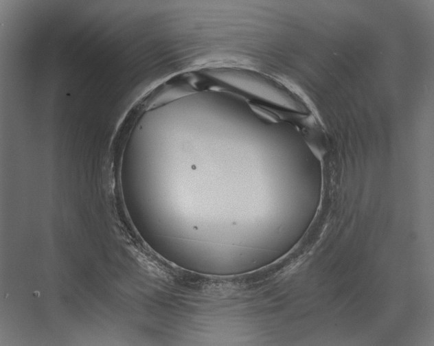 X0000073700973200608241413