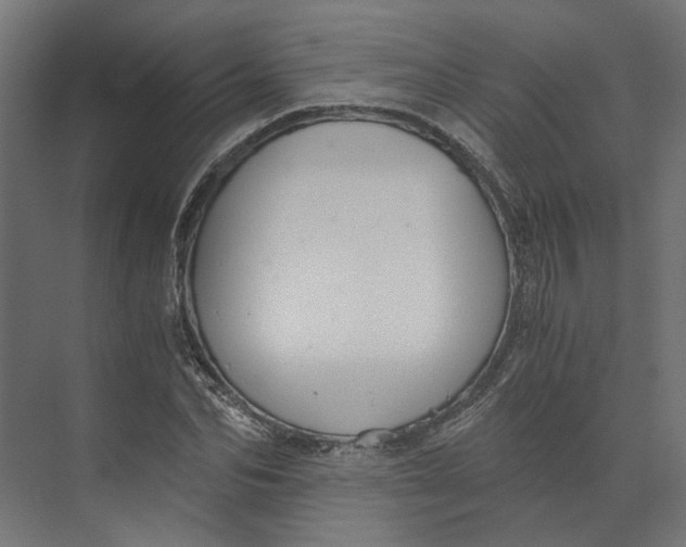 X0000073700974200608241413