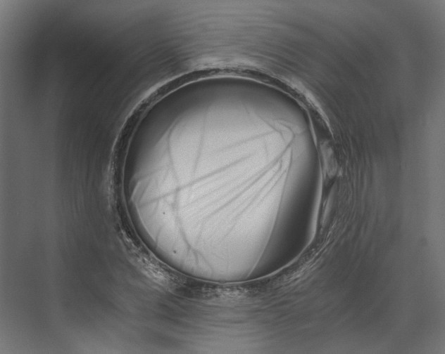 X0000073700975200608241413