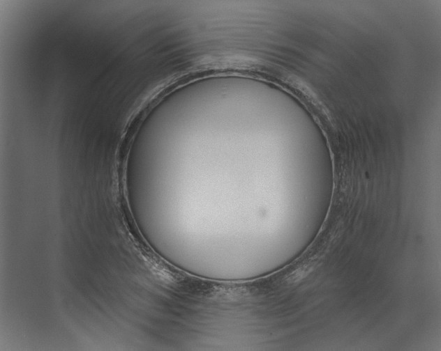 X0000073700978200608241413