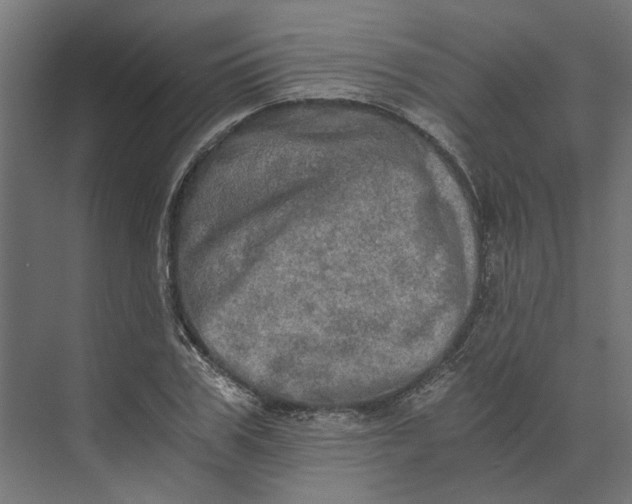 X0000073700979200608241413