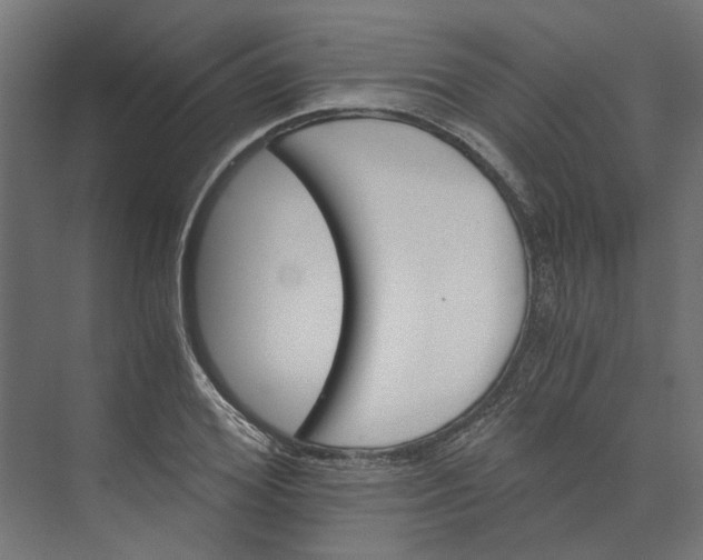 X0000073700980200608241413