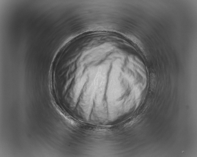 X0000073700982200608241412