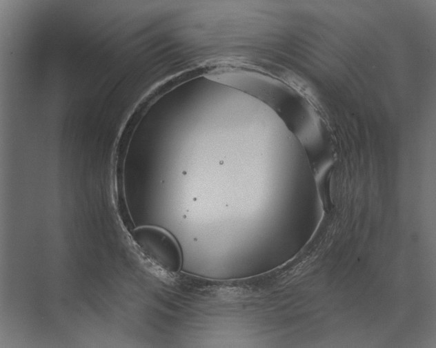 X0000073700984200608241412