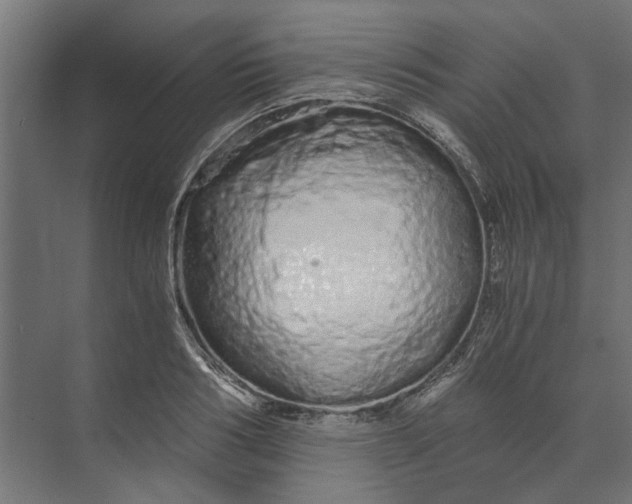 X0000073700986200608241412