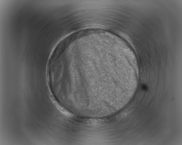 X0000073700987200608241412