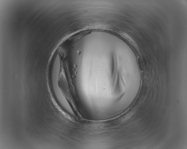 X0000073700989200608241412