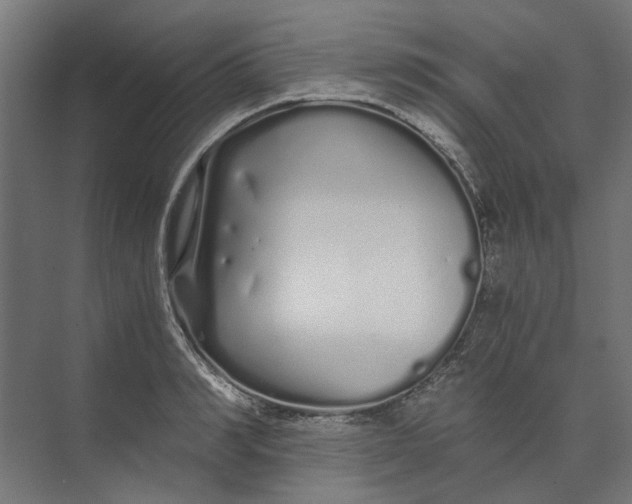 X0000073700990200608241412