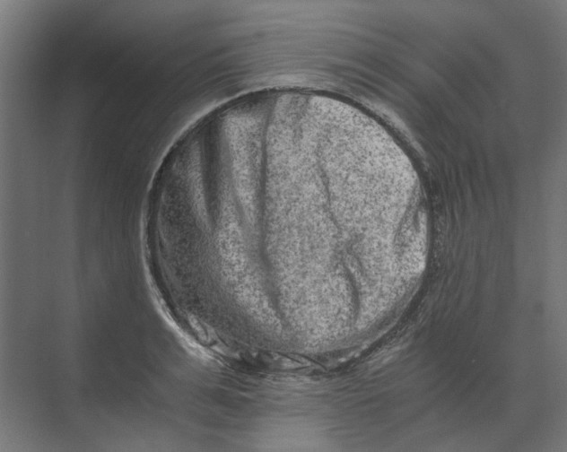 X0000073700991200608241412