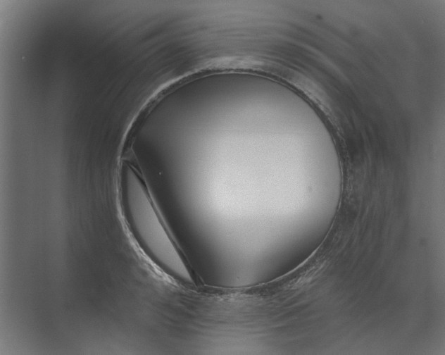 X0000073700992200608241412