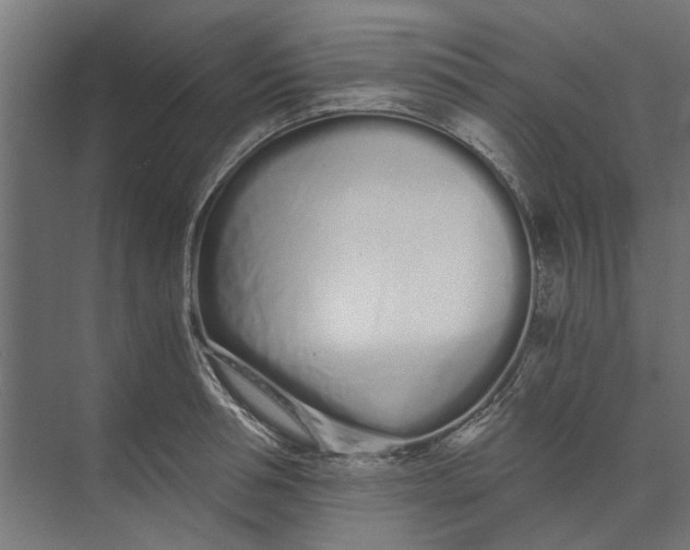 X0000073700994200608241412